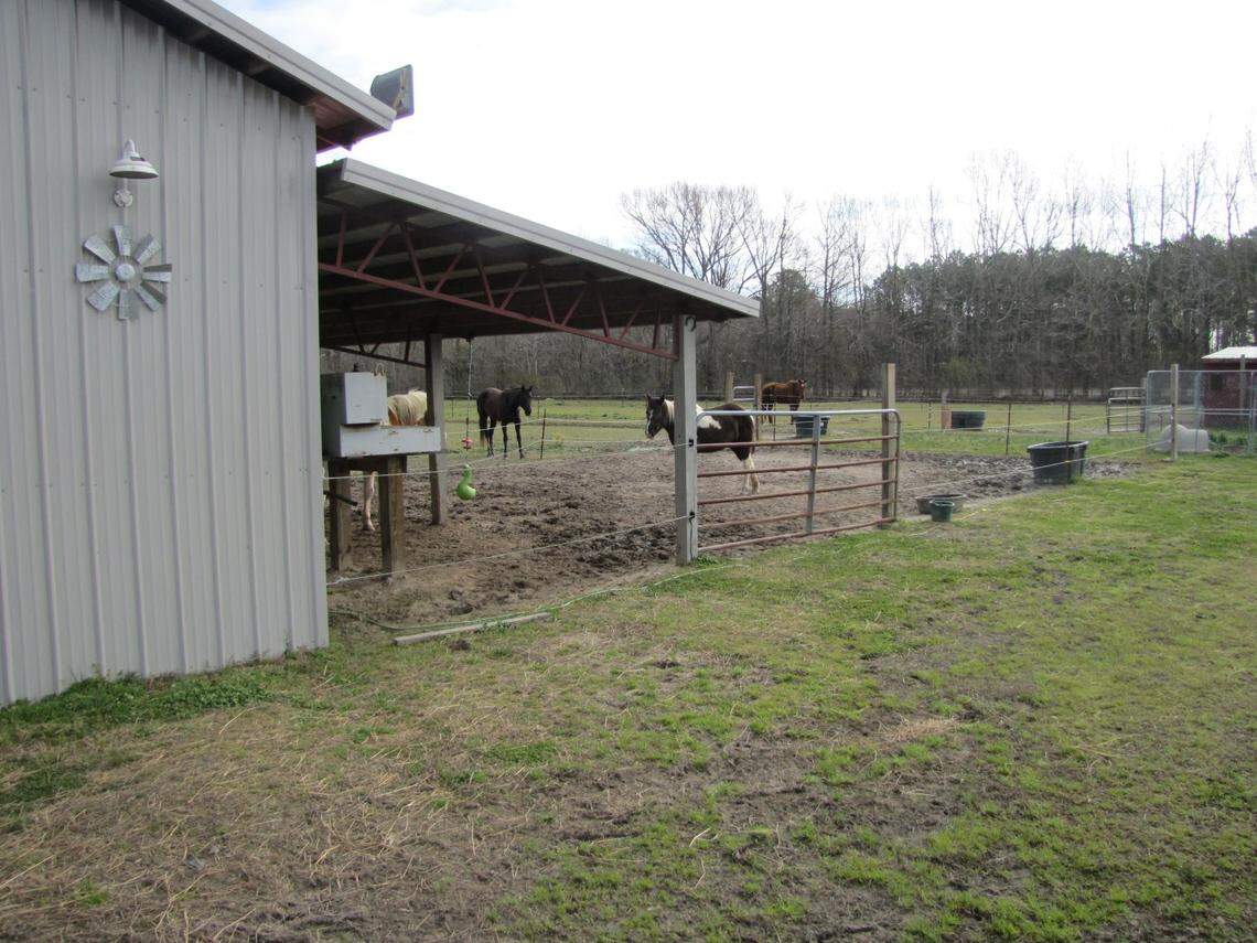 Detectives photographed the area of the pasture where Thunder’s tail was shorn on Tuesday, March 10, 2020.
