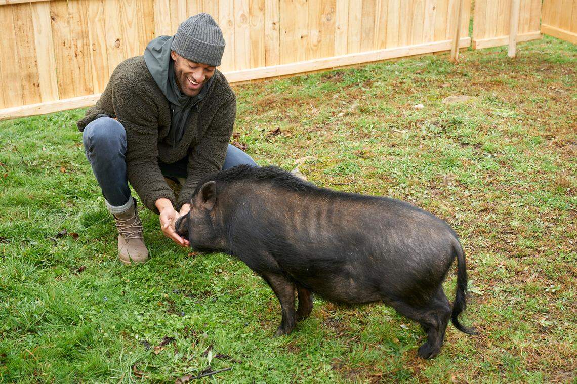 Matt James, a Raleigh native, greets a hog in the Feb. 1, 2021, episode of “The Bachelor” on ABC.