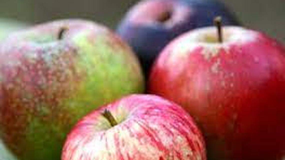 North Carolina ranks 7th nationally in apple production, with about 250 growers raising more than four dozen varieties. This year, at 10 dozen orchards offer a pick-your-own option.