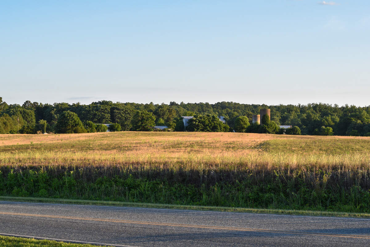 Developer Sasser Properties wants to build 541 homes on 440 acres at the former Morrow farm on Morrow Mill Road in Alamance County. The farmhouse, dairy barn and silo can be seen in the distance from Morrow Mill Road.