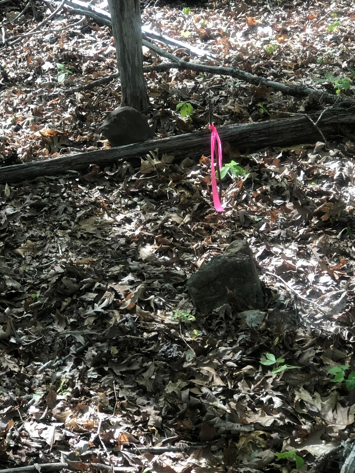 The graves of the enslaved were often marked by fieldstone, like this one found on a cemetery near Hardscrabble Plantation in Orange County, North Carolina in 2022.