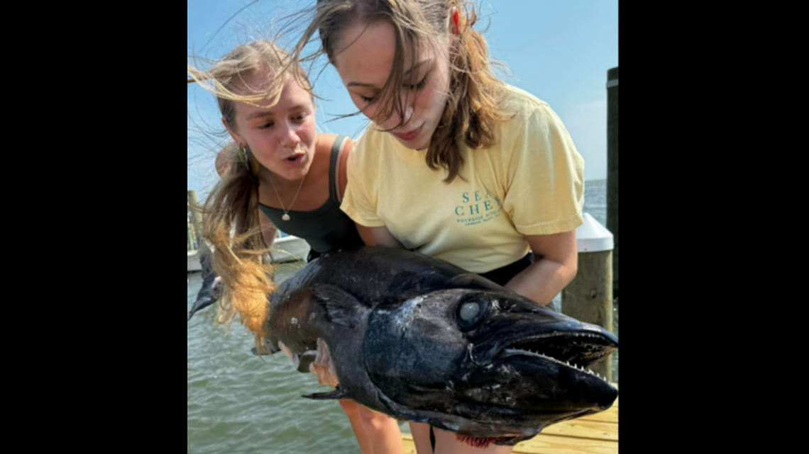Escolar are a deep water fish that is known to cause illness if people eat too much, experts say. This one was caught off Oregon Inlet on the Outer Banks.