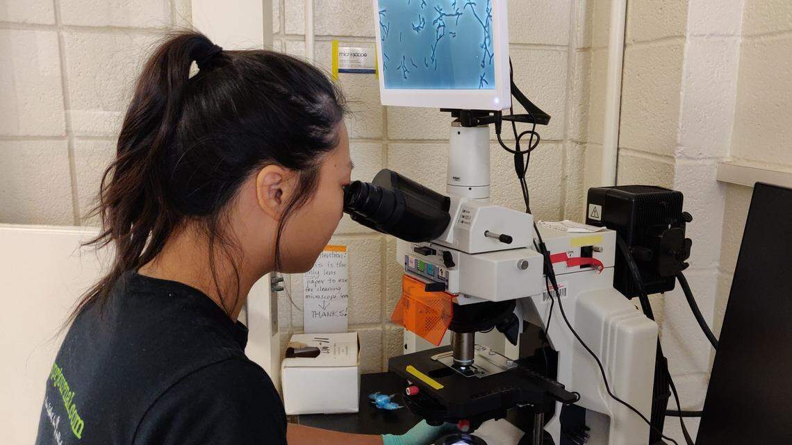 Charlotte among the best cities for women in STEM, new study says. Here’s why