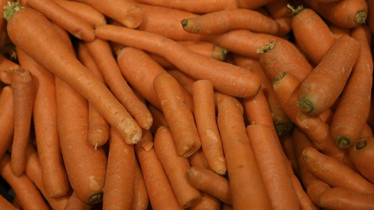 A WWII-Era Belief About Carrots Shaped Modern Eye Health Research
