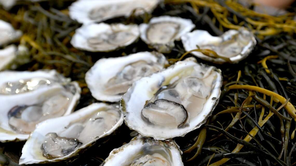 Does eating oysters really increase your testosterone levels? What research says so far