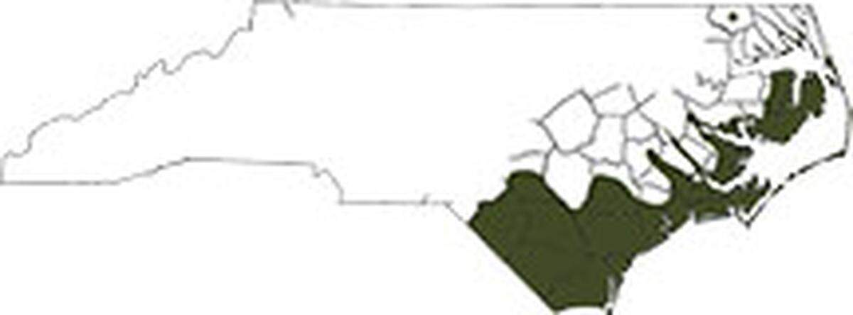 A map from the North Carolina Wildlife Resources Commission shows where alligators are naturally found in North Carolina.