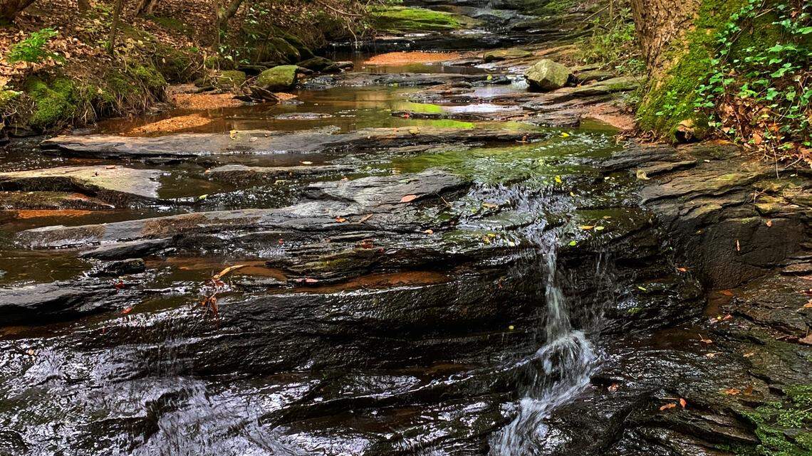 Azalea Falls in Raleigh. (Photo courtesy of Russ Stephenson)