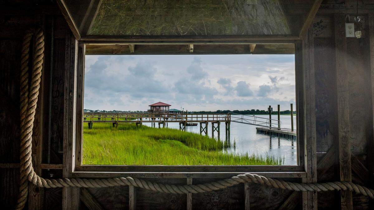 A million acres of ‘priceless’ marshes protect NC, SC, GA. Will they perish in rising tides?