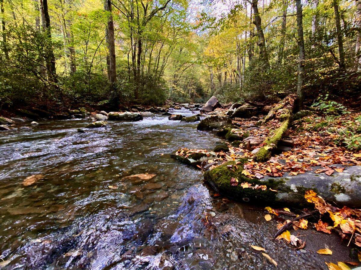 A rushing stream in Great Smoky Mountains National Park provides a comforting soundtrack and and serenity during a long walk in the woods.