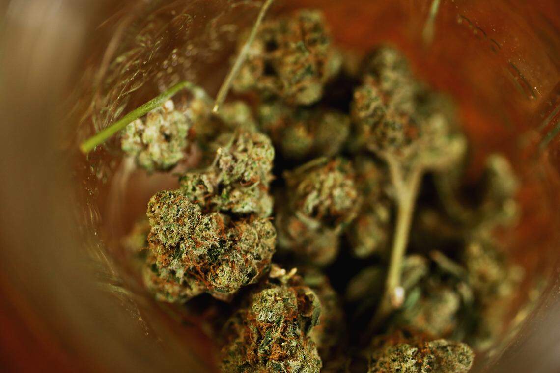 Dried hemp flowers are often smoked or can be processed to manufacture CBD oil and tinctures, which are marketed as having therapeutic properties for people suffering from anxiety, sleep problems, and chronic pain and inflammation.