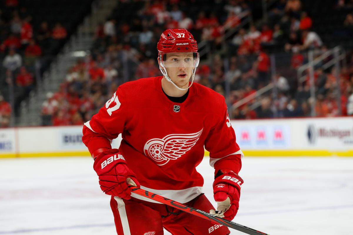 Detroit Red Wings Evgeny Svechnikov (37) plays against the Chicago Blackhawks in the third period of a preseason NHL hockey game, Tuesday, Sept. 17, 2019, in Detroit. (AP Photo/Paul Sancya)