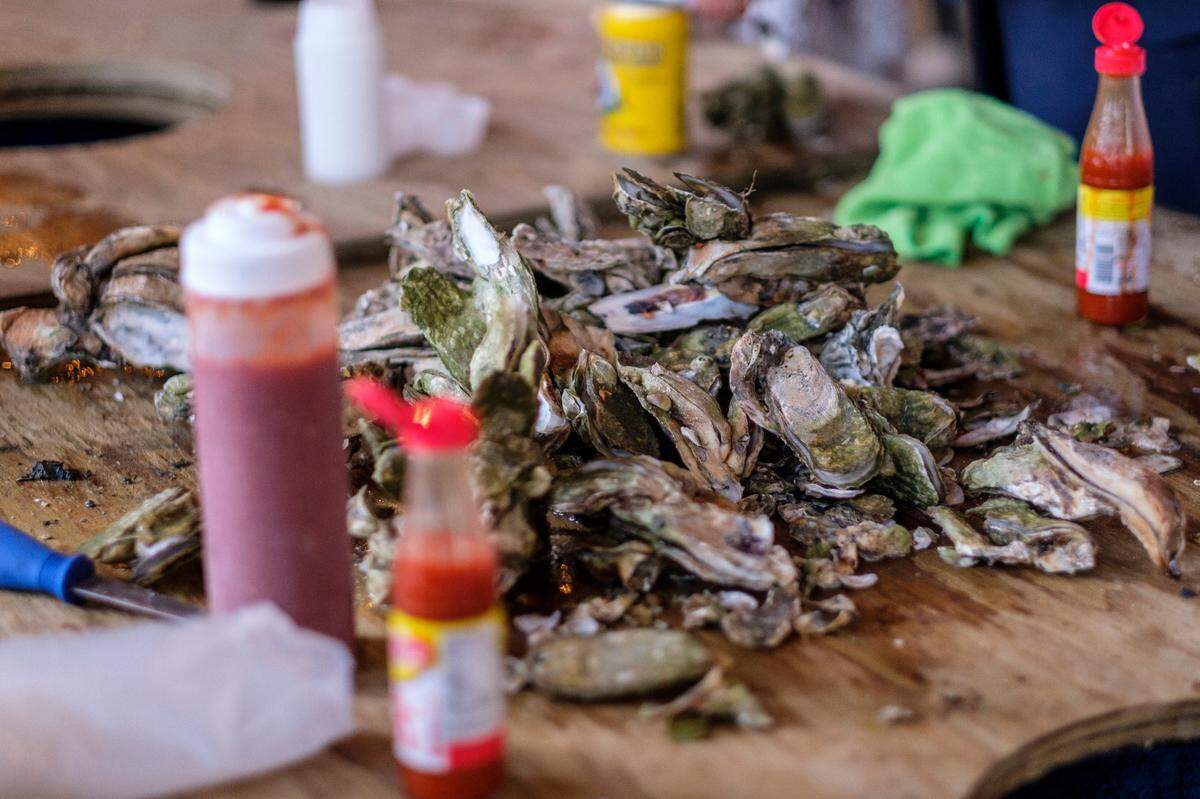 Oysters, which are popular seafood along the Carolina coast, have been the focus of studies at the National Oceanic and Atmospheric Administration in Charleston. Some scientists studying threats from toxic chemicals to shellfish were told Feb. 27, 2025 they would lose their jobs in a purge of federal workers by President Donald Trump.