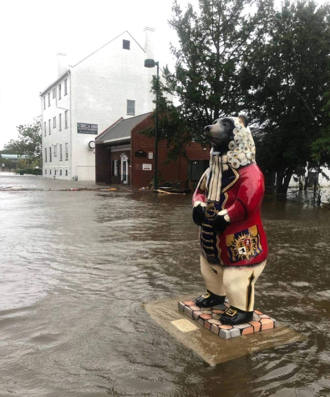 One of New Bern’s decorated fiberglass bears in the middle of a downtown street after floating away in Hurricane Florence floodwaters.