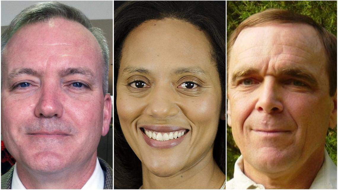 John Adcock, Sydney Batch and Guy Meilleur are competing in 2018 for the N.C. House District 37 seat that covers southern Wake County.