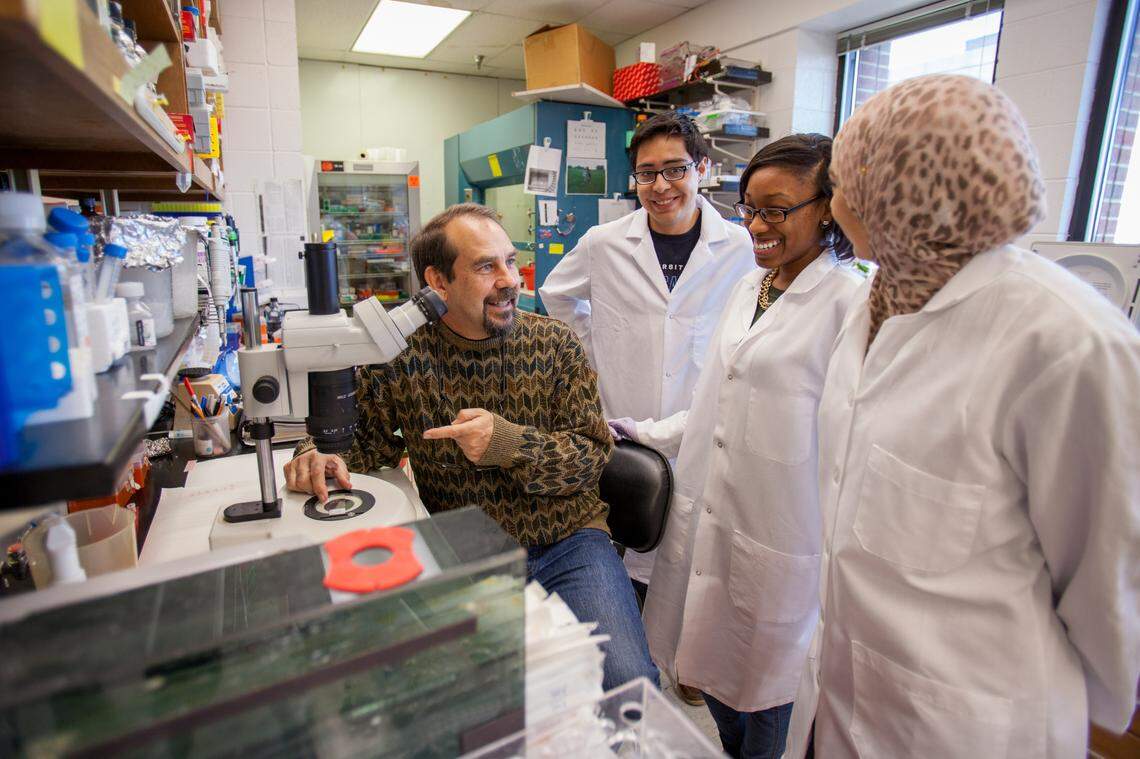 Jude Samulski, current Director of the University of North Carolina Gene Therapy Center, discusses genetic viruses with his students in 2014. Samulski was among the first to successfully clone and sequence the adeno-associated virus (AAV) while a graduate student at the University of Florida’s College of Medicine.