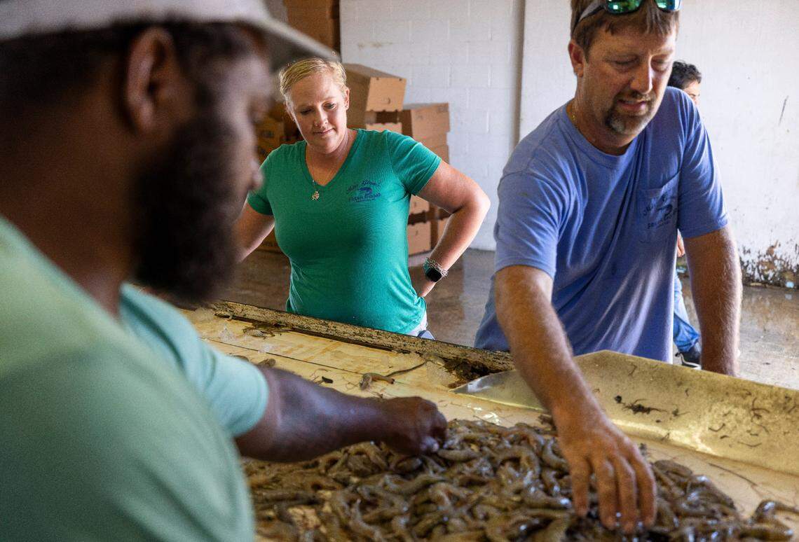 Monica Smith and her husband, captain Thomas Smith, right, examine the brown and greentail shrimp as it is offloaded from their boat and boxed at a Beaufort fish house.