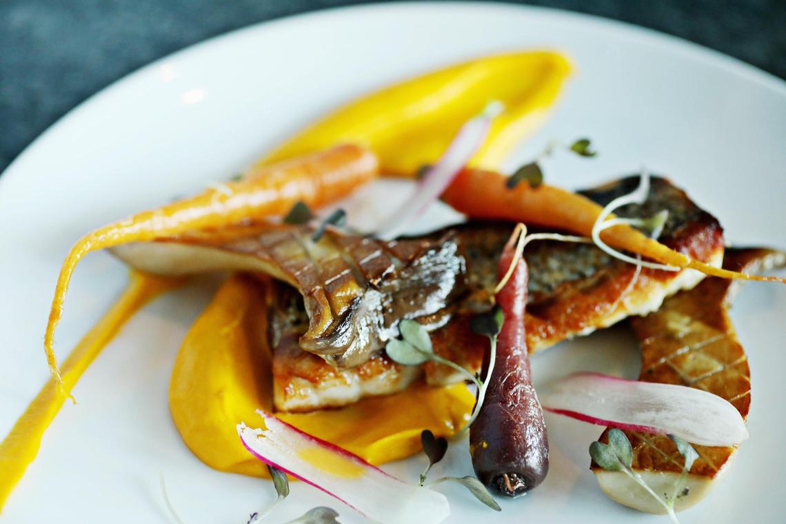 Oakleaf’s striped bass is served with carrot-ginger coulis, French breakfast radish, royal trumpet mushrooms and heirloom carrots.