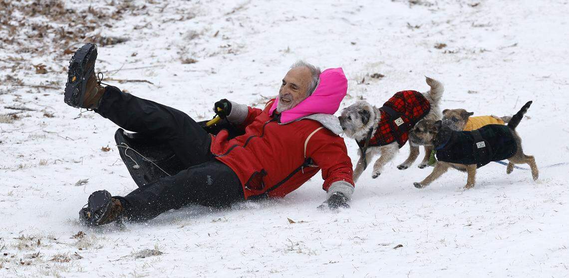 Joseph Huberman sleds down a hill at Dix Park in Raleigh trailed by his border terriers Boyse, Flare and Sunny Sunday morning, Jan. 25, 2026.
