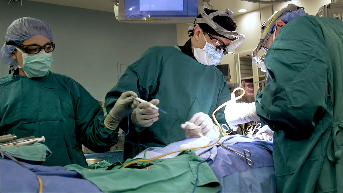 Duke neurosurgeon Dr. Oren Gottfried, photographed in April 2019.