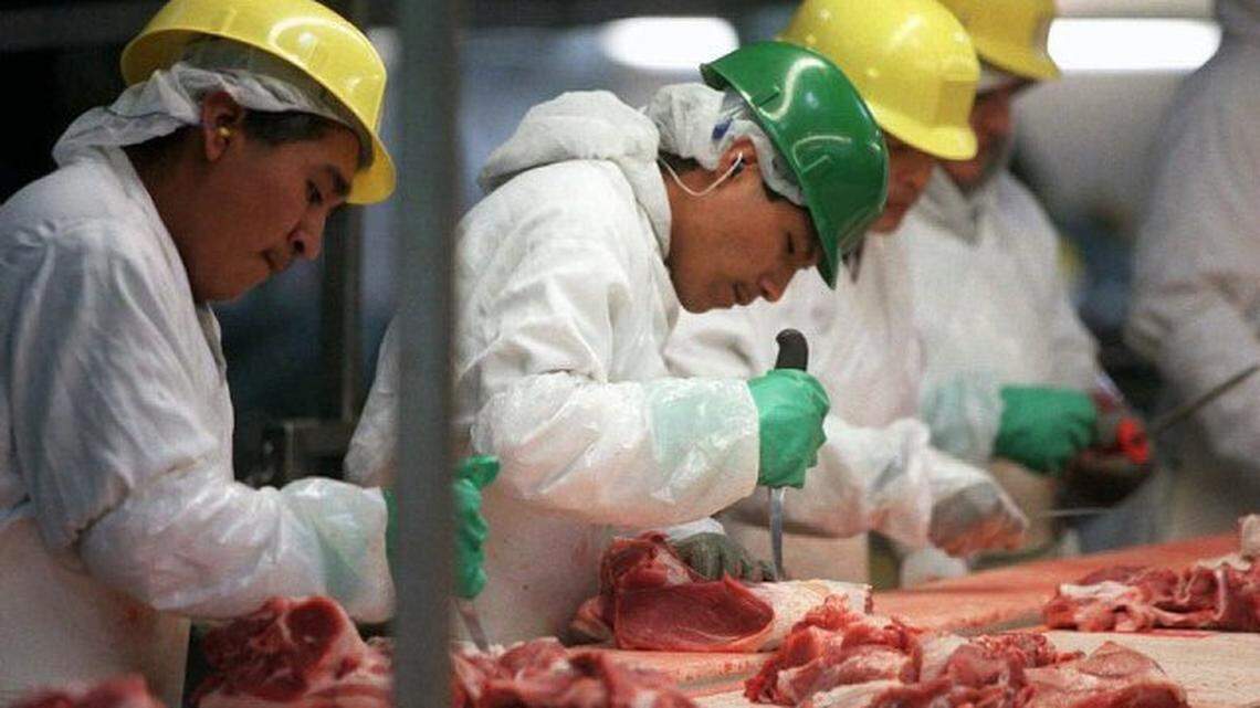 “Picnic line” workers cut pork from shoulder bones in the Smithfield Foods processing plant in Tar Heel, N.C.
