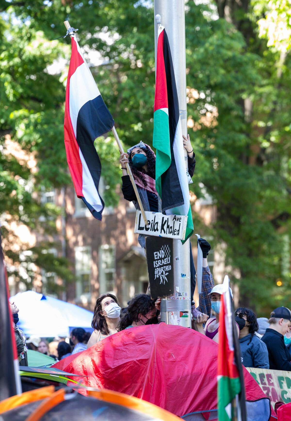 A demonstrator attaches Palestinian flags to a flagpole during a pro-Palestinian protest at an encampment at UNC Chapel Hill on Monday, April 29, 2024. Students for Justice in Palestine urged students to join the encampment, saying that university officials had told them that the “tents are coming down tonight.”