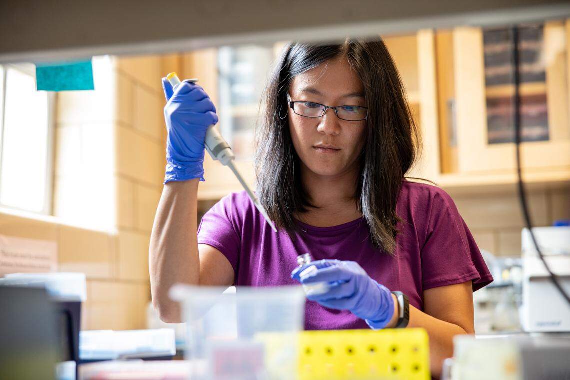 Jenny Tung, a Duke University associate professor, was named a 2019 MacArthur Fellow.