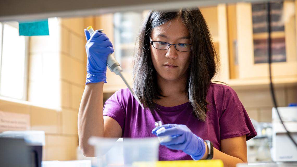 Jenny Tung, a Duke University associate professor, was named a 2019 MacArthur Fellow.