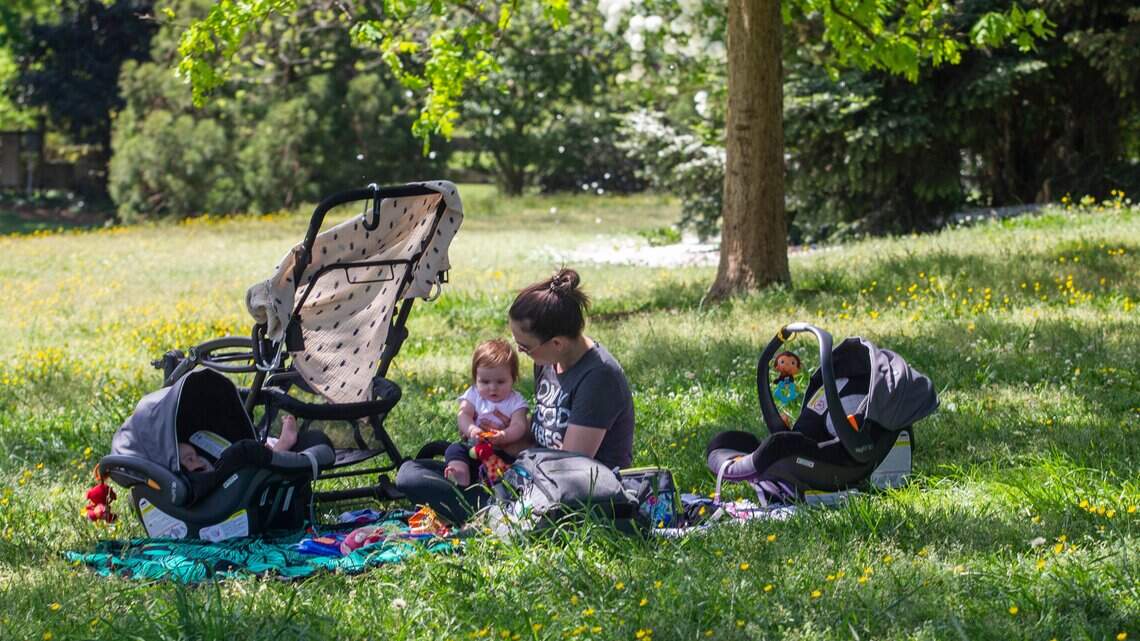 No car, no problem: These are the 10 most walkable neighborhoods in Raleigh