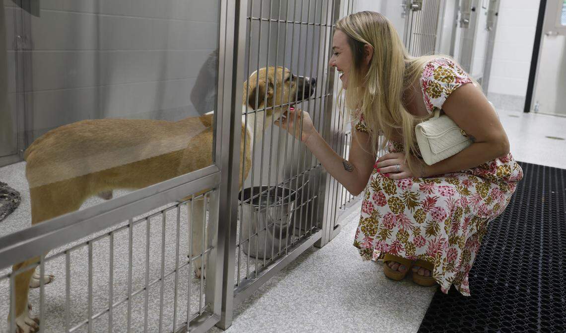 Lacy Walker greets Bach while taking a tour of the SPCA of Wake County’s new Peggy Garner Britt Resource Center in Raleigh, N.C., Thursday, April 23, 2026.