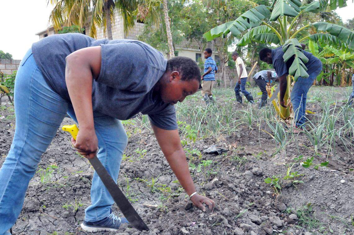 Edna Ogwangi uses a machete to weed the garden at the Poteau school in Haiti. The children at the school there are learning to grow fruits and vegetables.