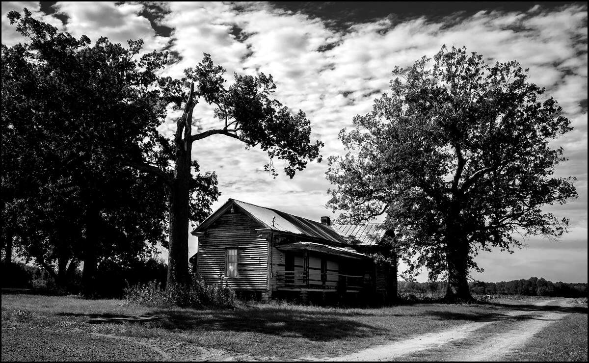 An aging farmhouse sits on a rise on a dirt road along a soybean field in Wilson County, Sunday, Sept. 14, 2025.