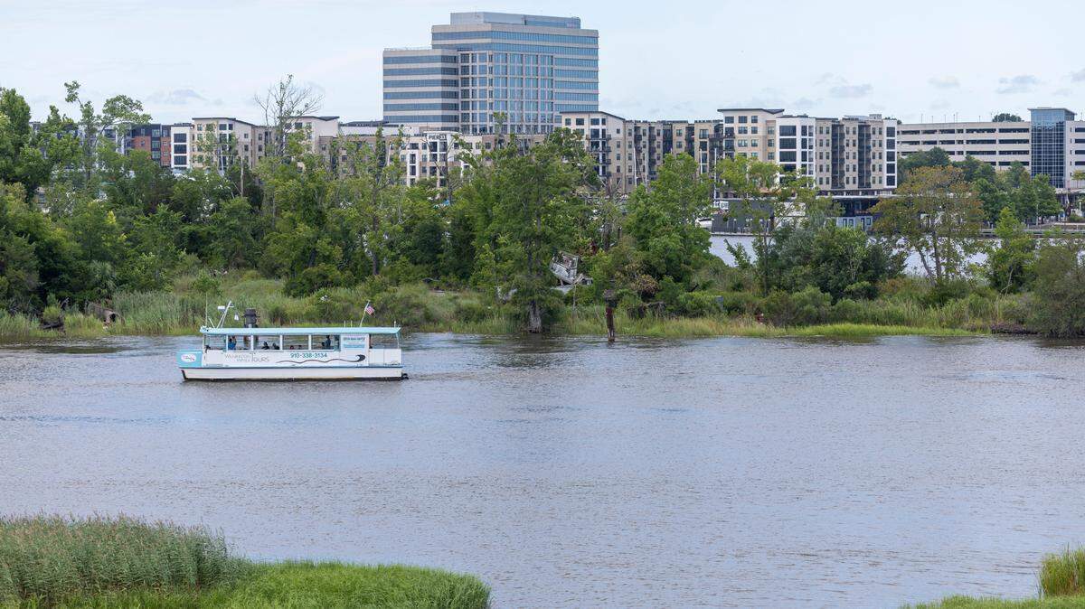 A water taxi passes property along the West Bank of the Cape Fear River across from downtown Wilmington, N.C. that is being considered for new development. Point Peter, the land between the Cape Fear River and North East Cape Fear River has a rich maritime history. Developers are proposing a hotel to be built on the highest part amid the marshes that surround it.  Photographed on Saturday, June 30, 2024 in Wilmington, N.C.