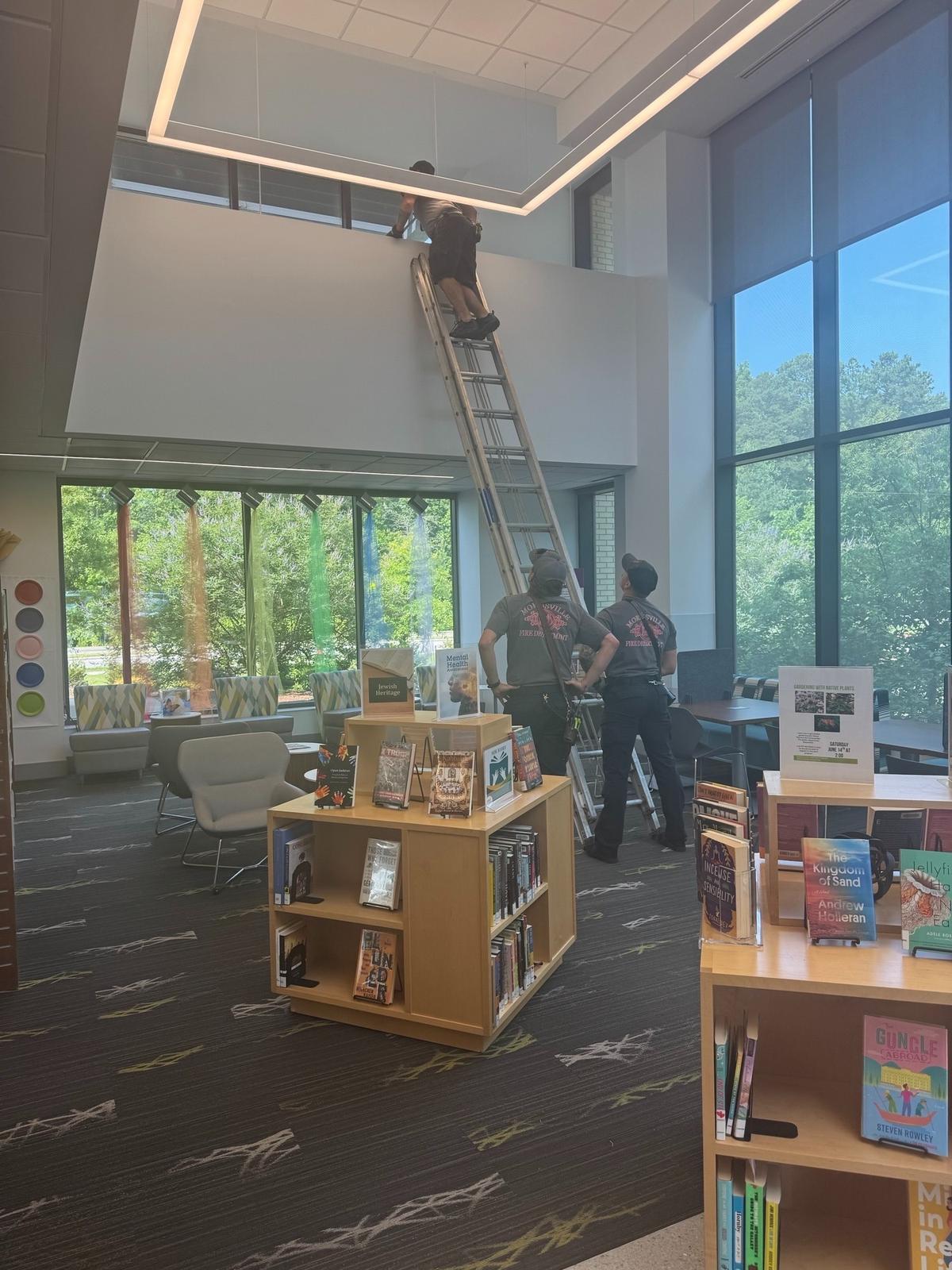 A scene from a hawk’s visit to the Morrisville Community Library