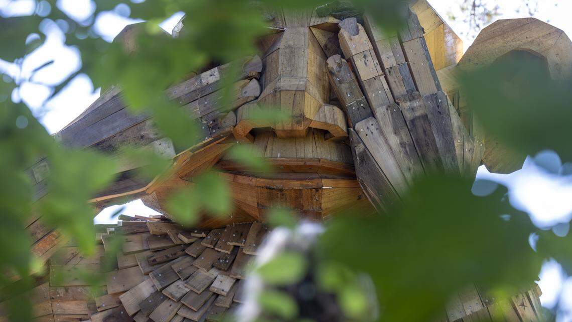 One of the troll sculptures by artist Thomas Dambo, which are being installed at Dix Park on Thursday, October 16, 2025 in Raleigh, N.C. When the project is completed, there will be five larger-than-life sculptures across the Dix property.