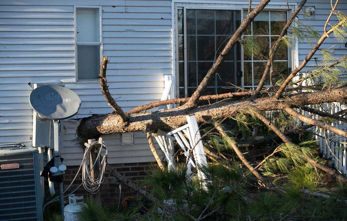 The top of a pine tree impaled the rear of this home at 6467 Old Shallotte Road in Brunswick County after a tornado moved through the area late Monday night Monday, February 15, 2021.