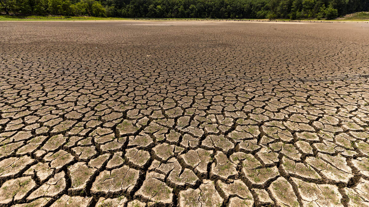 Is recent rain enough to get rid of North Carolina’s drought?
