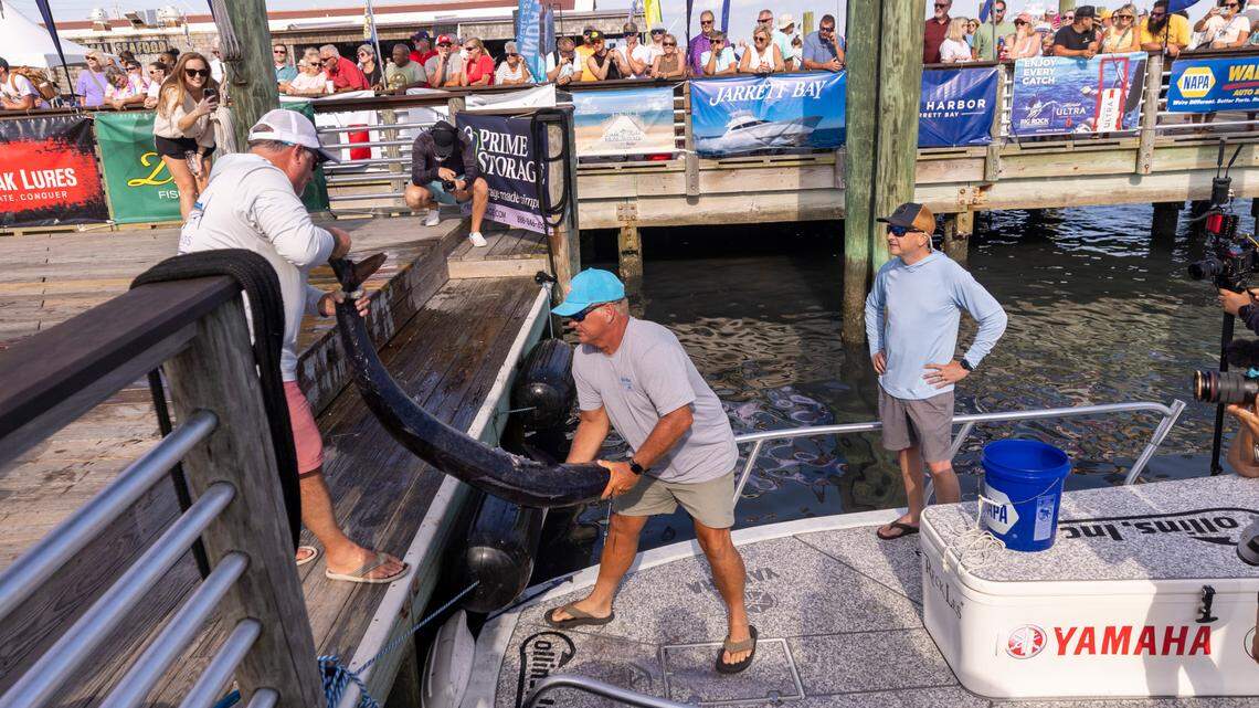A 61.5-pound wahoo is offloaded for a weigh-in on Wednesday, June 12, 2024 at Big Rock Landing in Morehead City during the 66th Annual Big Rock Blue Marlin Tournament.