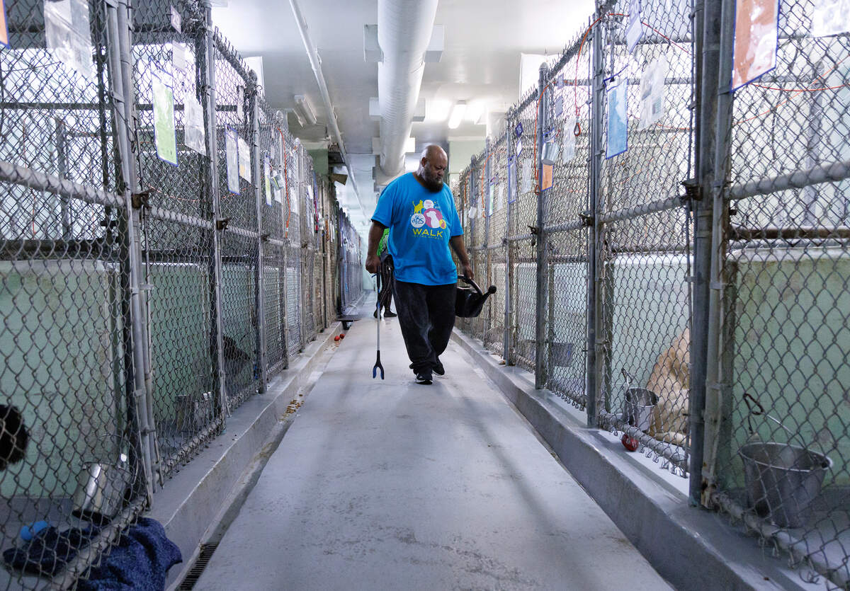 Maurice Moore gives dogs water at the Animal Protection Society of Durham on Tuesday, July 1, 2025.