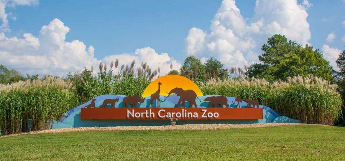 Zoo officials asked for an inspection of the Forest Aviary building and were told of serious safety issues with the roof and the ground beneath the structure.