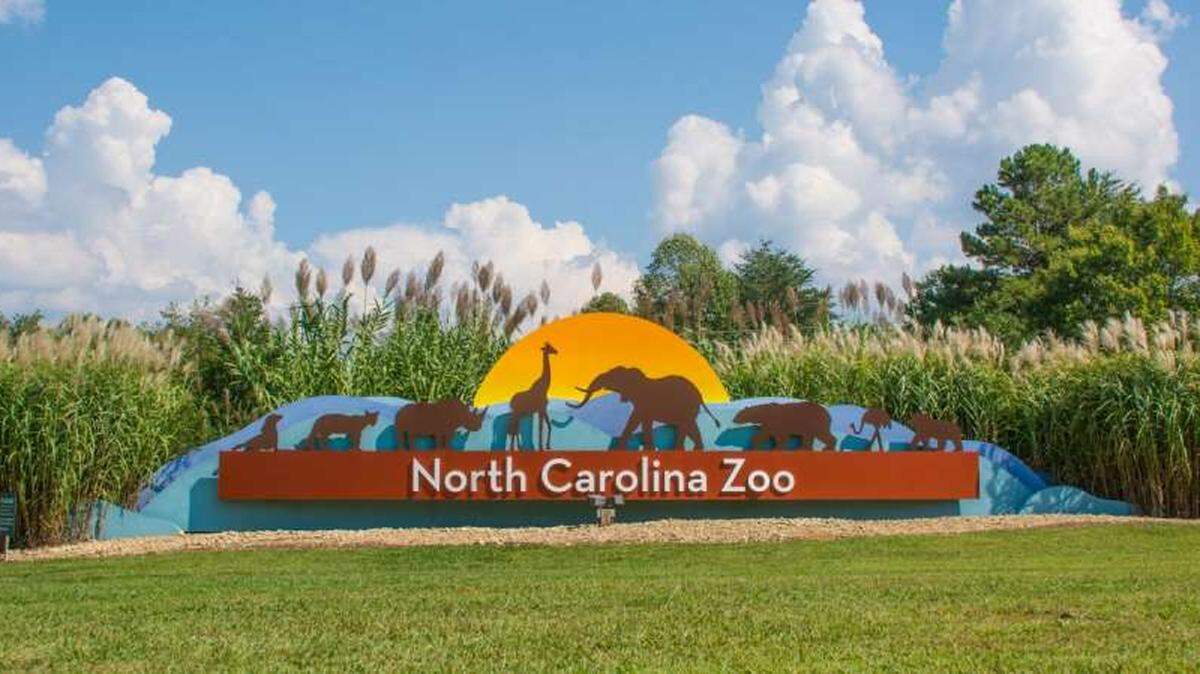 Zoo officials asked for an inspection of the Forest Aviary building and were told of serious safety issues with the roof and the ground beneath the structure.