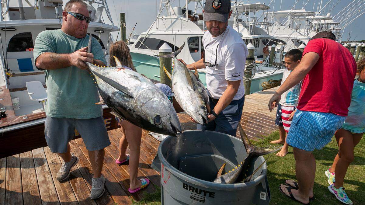 From fishing villages to a billion-dollar tourism industry — how NC 12 transformed OBX