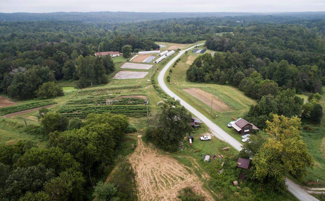 Liz and Rich Mason moved to Prospect Hill, N.C. not knowing they’d turn their land into a certified organic farm. Four years later, Honey Bee Hills Farm, pictured here on Friday, Aug. 21, 2020, provides fresh produce to several communities across the piedmont. Although 2020 has been their most successful year yet despite a pandemic, Liz Mason encounters frustration on a daily basis in dealing with their online store and accounting software. Providers won’t connect their home, located not far from their neighbors who have DSL service, because it’s at the end of a road. Citizens of Caswell County, where the farm is located, have very little options for broadband internet access, which hinders business owners and families. Julia Wall / News & Observer / North Carolina News Collaborative