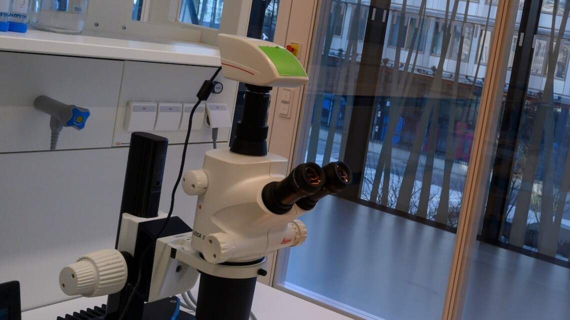 Living Eye Drops Could Change Eye Care Forever. What the Future Holds for Microbe-Based Therapies