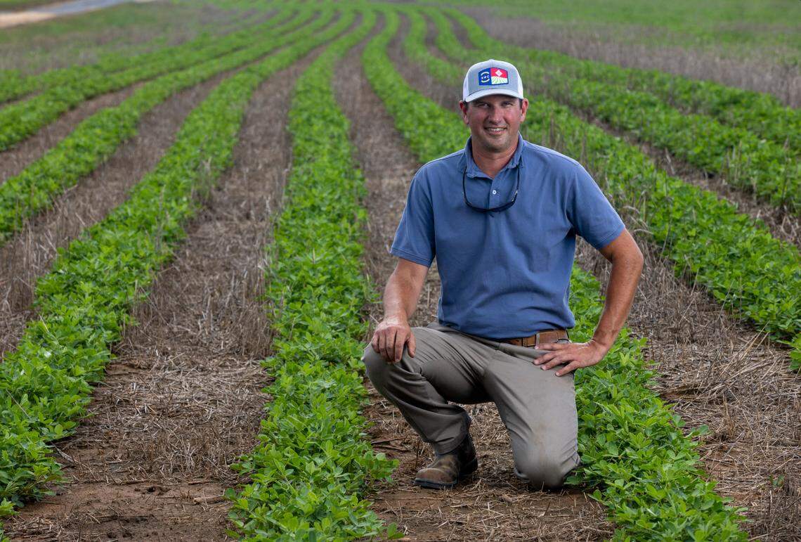 Peanut farmer Donny Lassiter in one of his peanuts fields at the Mofield farm on Monday, July 10, 2023 near Jackson, N.C. Lassiter plants approximately 1,500 acres in Virginia peanuts annually, which can produce up to 5,000 pounds per acre.