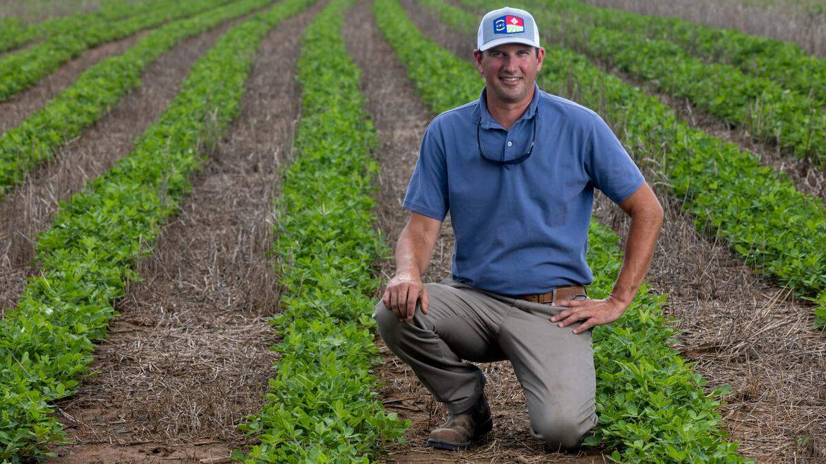 Peanut farmer Donny Lassiter in one of his peanuts fields at the Mofield farm on Monday, July 10, 2023 near Jackson, N.C. Lassiter plants approximately 1,500 acres in Virginia peanuts annually, which can produce up to 5,000 pounds per acre.