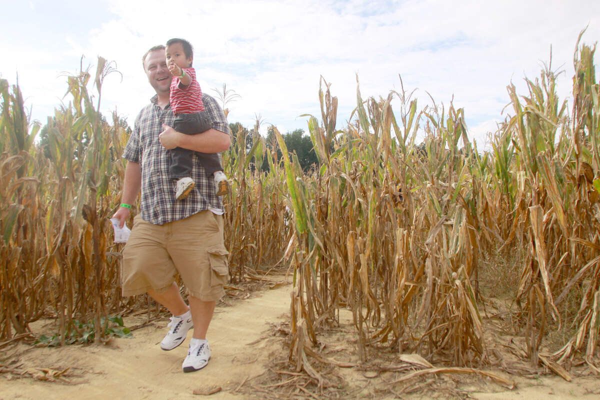 The Phillips Corn Maze in Cary offers family friendly fun with a side of spooky selections.
