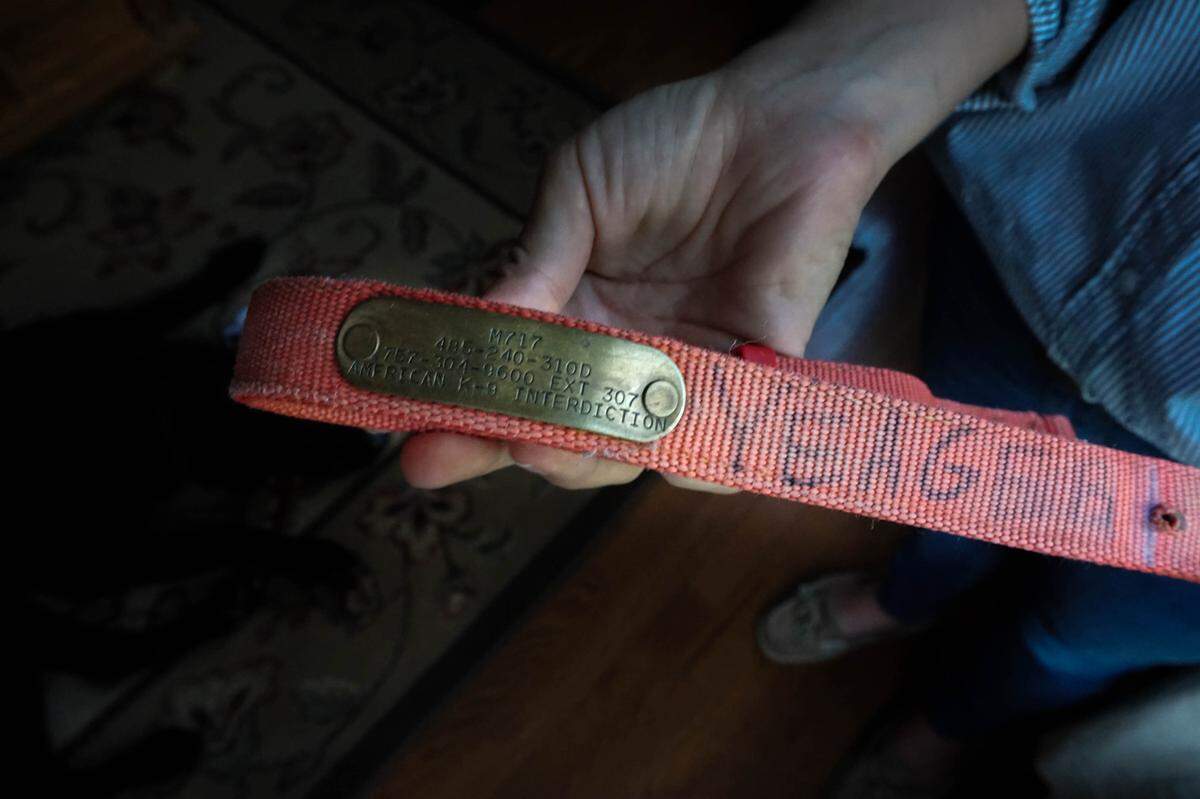 Sgt. Yeager’s collar from active duty, given to his family by a former marine and friend of Yeager’s former handler Lance Corporal Abraham Tarwoe. Photographed on Aug. 23, 2019.