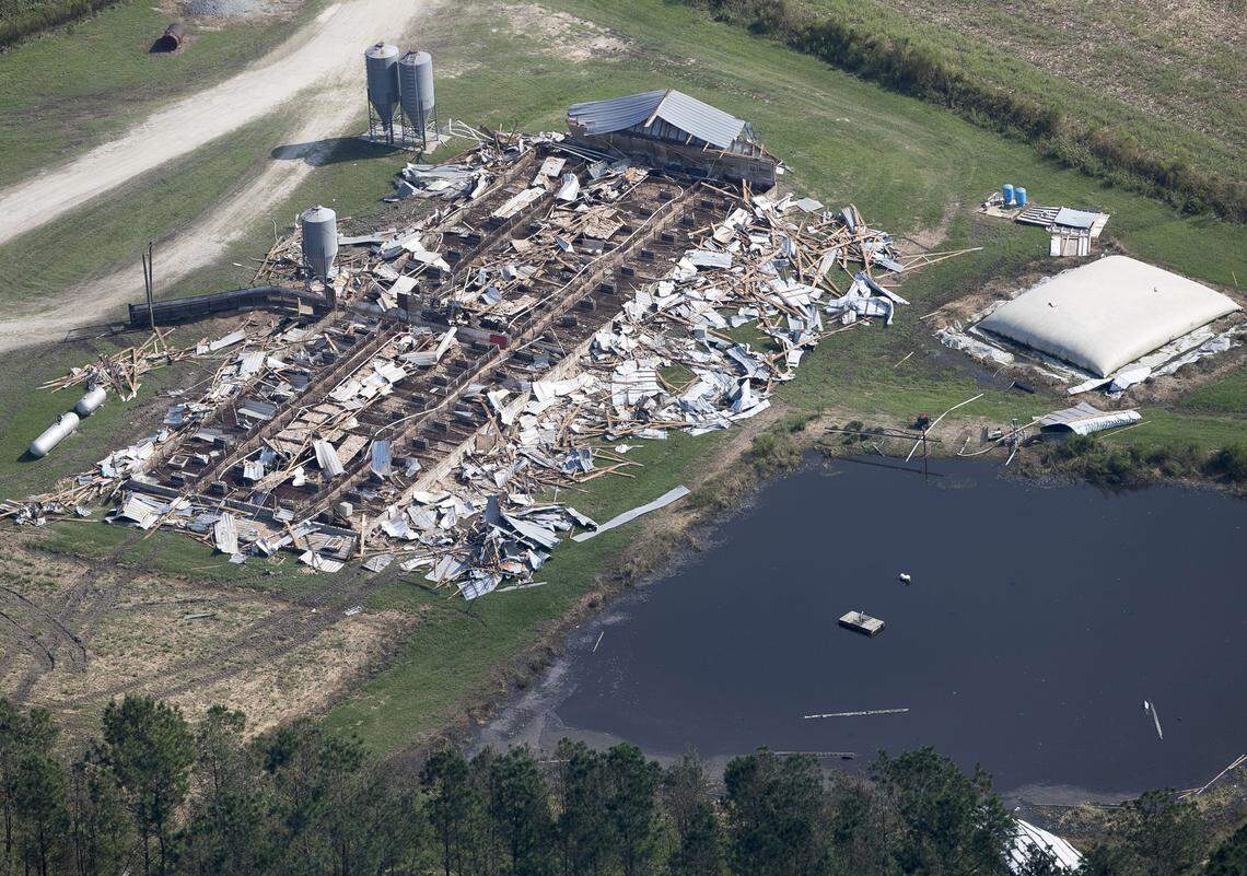 A farm near Harrells in Duplin County, photographed on Thursday, September 20, 2018, was destroyed during Hurricane Florence. The powerful storm destroyed or flooded many farms in Eastern North Carolina.
