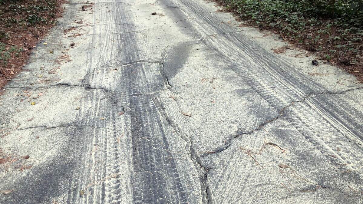 A road covered in pine pollen.