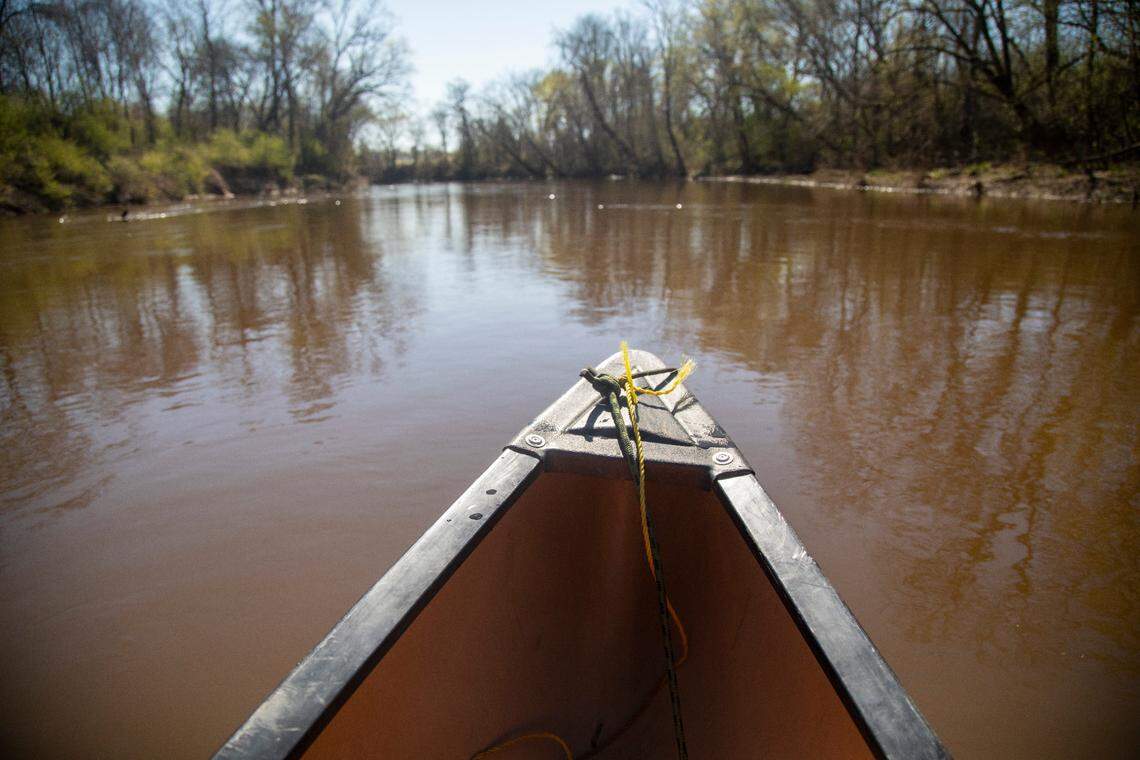 A view of the bow of a canoe on the Tar River near Tarboro.